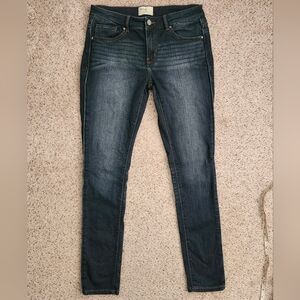 BKE Payton Skinny Jeans